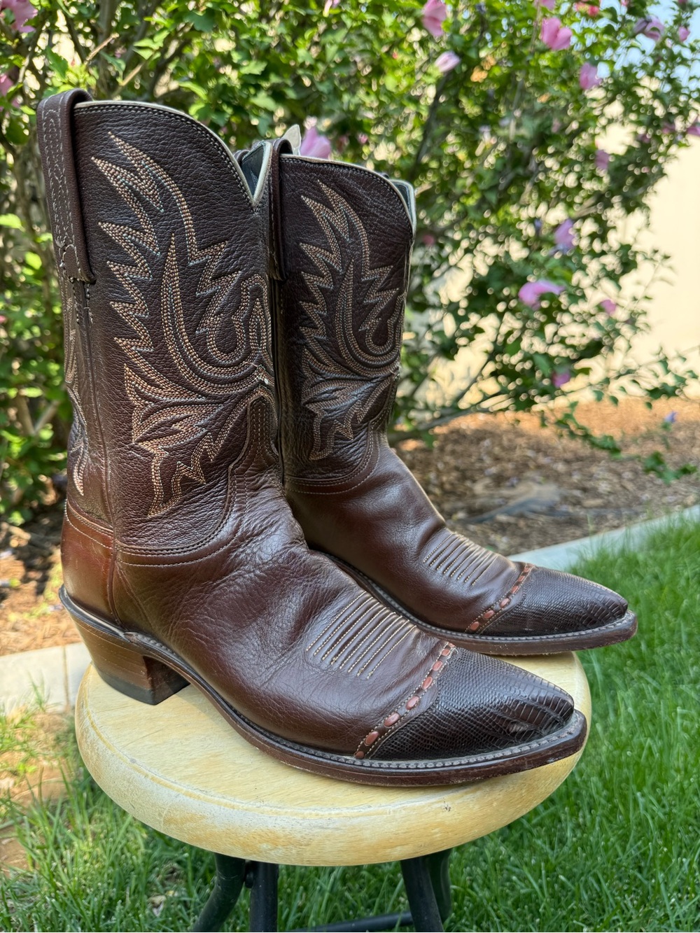 Lucchese 1883 Women's Exotic Western Boots Size 9 B Brown
With Lizard Tips USA